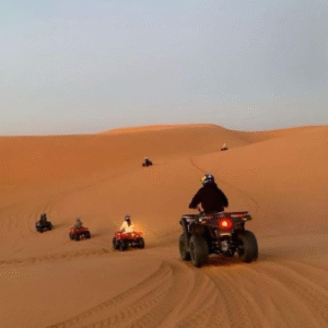 design sans titre (23)